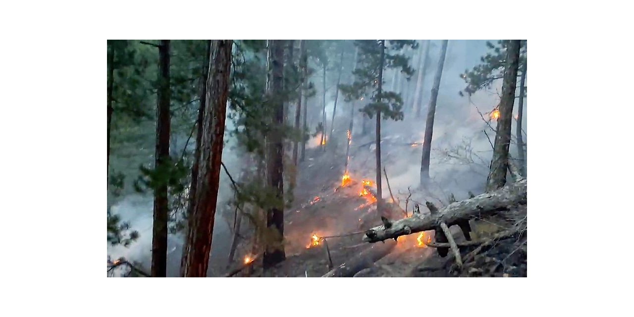 Denizli’deki orman yangını kontrol altına alındı