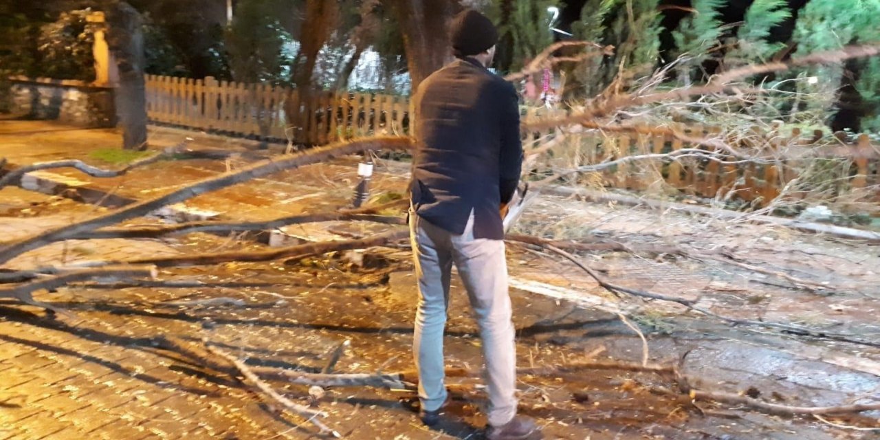 Fırtına ağaçları devirdi, çatıları uçurdu