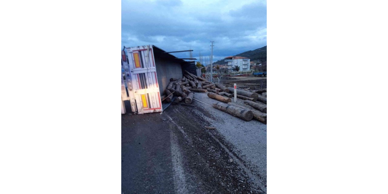 Tomruk yüklü tır devrildi