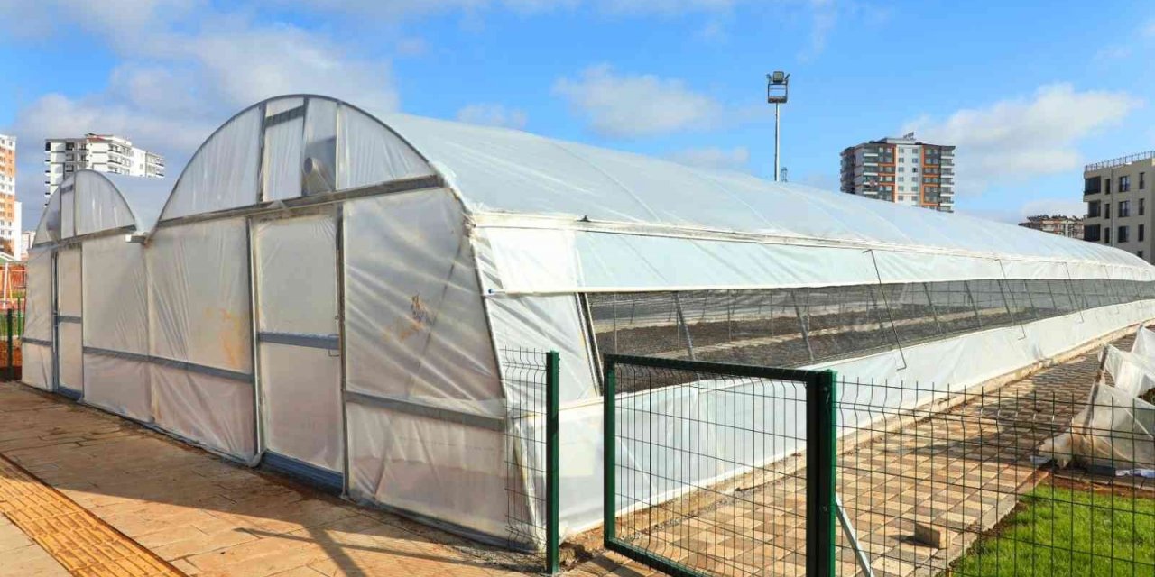 Diyarbakır’da organik sebze ve meyve üretimi başladı