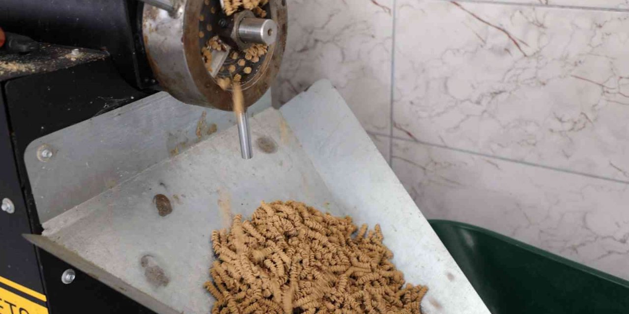 Büyükşehir 11 ton hayvan maması üretti