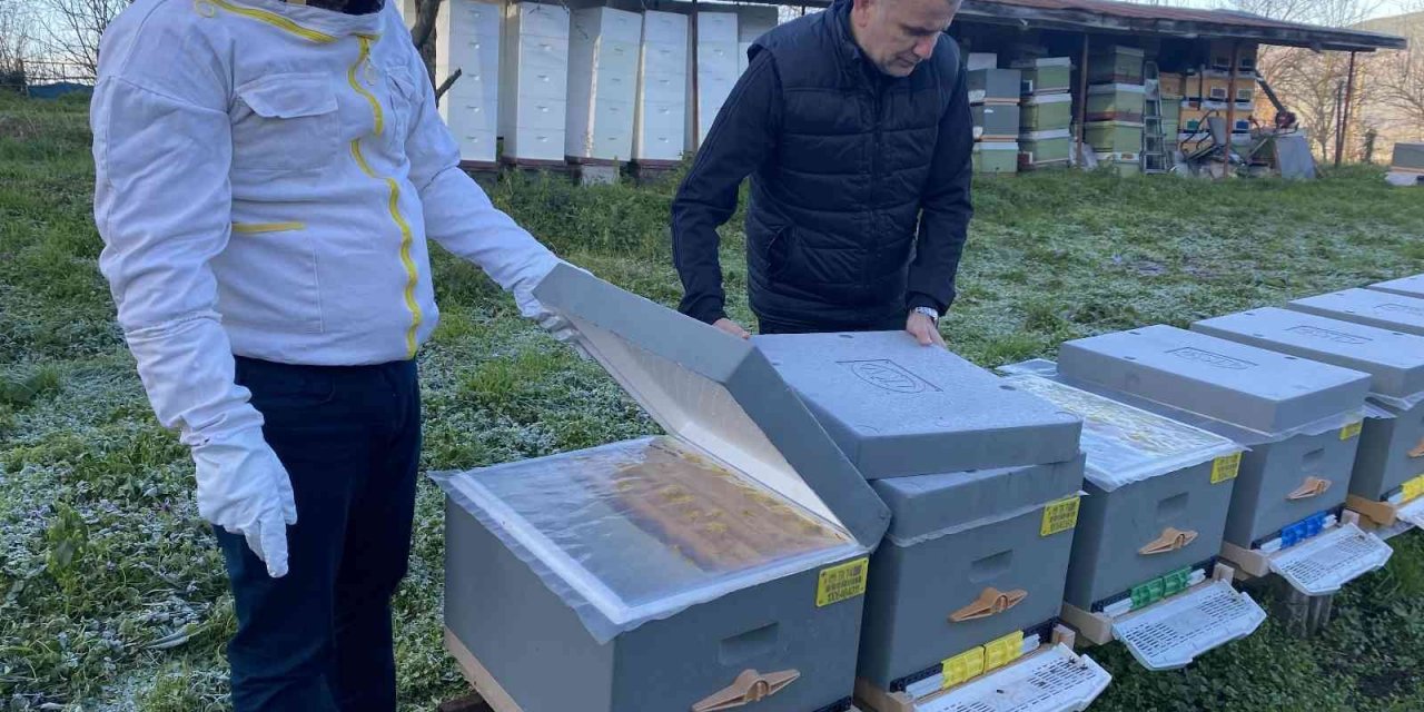 Yüksek hava sıcaklıkları arıcılığı ve bal üretimini olumsuz etkiliyor