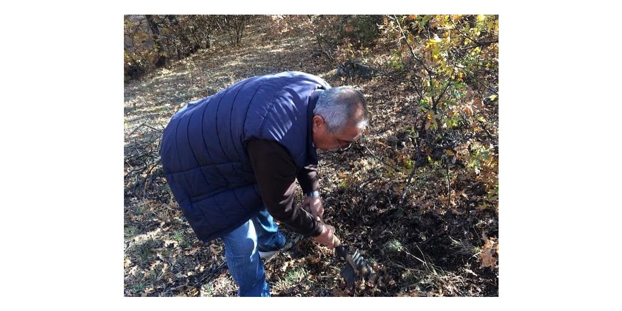 Süne ile mücadele çalışması kışında sürüyor
