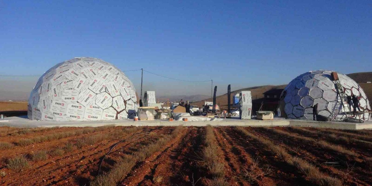 Dünyanın en büyük tek parça halindeki lavanta tarlasına Arı Müzesi kuruluyor