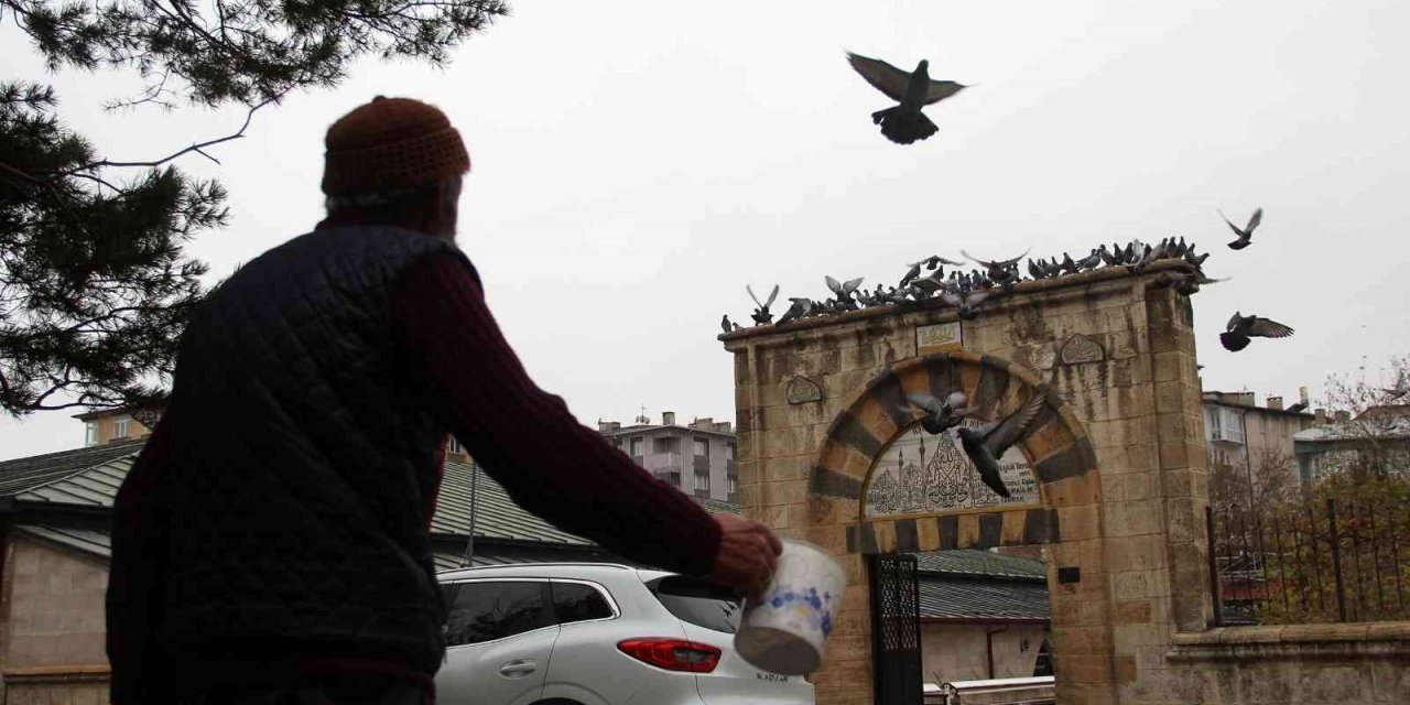 Sivas’taki 8 asırlık kuş vakfiyesinin dünyada başka bir benzeri bulunmuyor