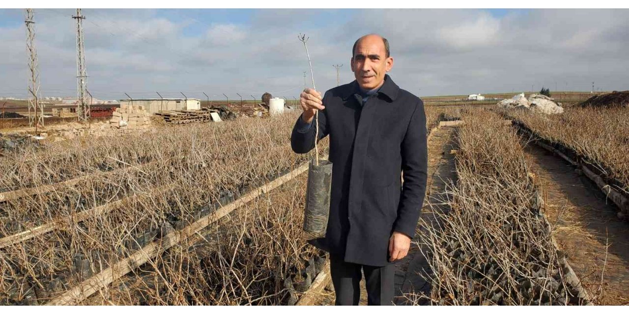 DTSO bölgesel kalkınma için projeler üretmeye devam ediyor