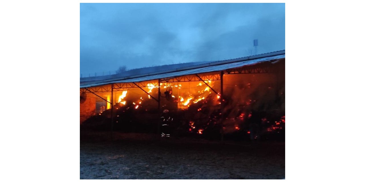 Çiftlikte çıkan yangında hayvanlar telef oldu