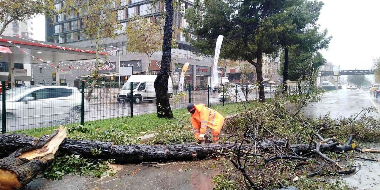 Büyükşehirin fırtına mesaisi