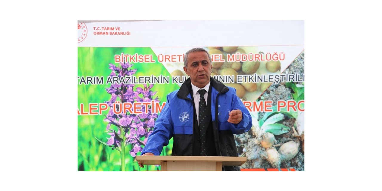 Gıda denetimi sonrası 2,5 milyon TL’ye yakın ceza kesildi