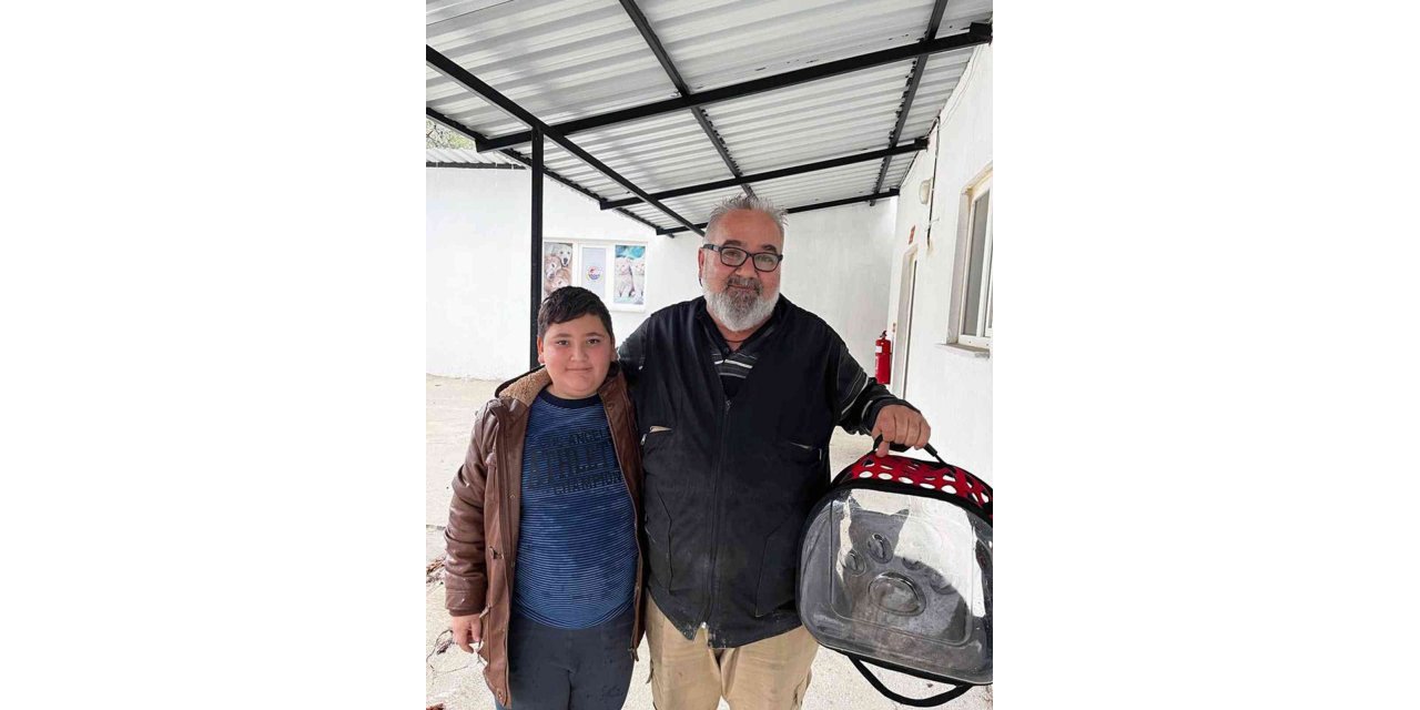 Kedinin midesinden iğne çıktı