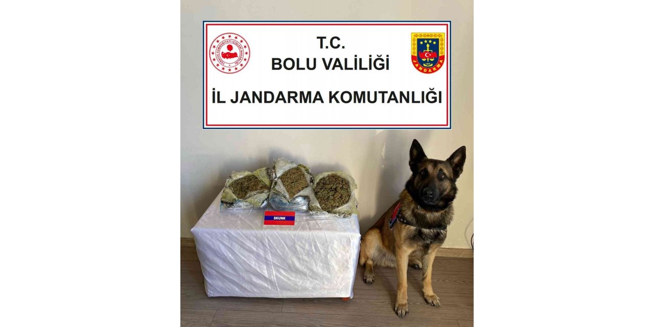 Çantalarında uyuşturucu taşıyan şüpheliler dedektör köpeğe takıldı
