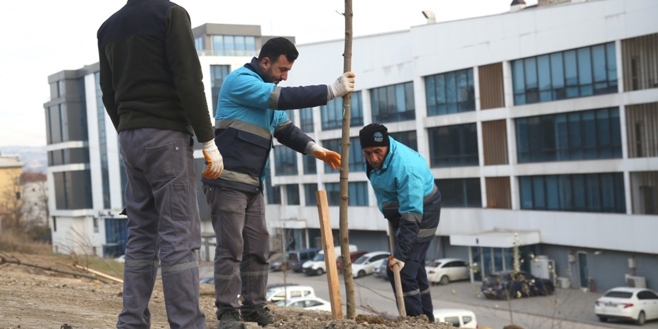 Nilüfer’de ağaçlandırma çalışmaları başladı