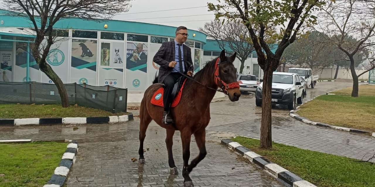 Atlı Zabıta Birliği göreve hazırlanıyor