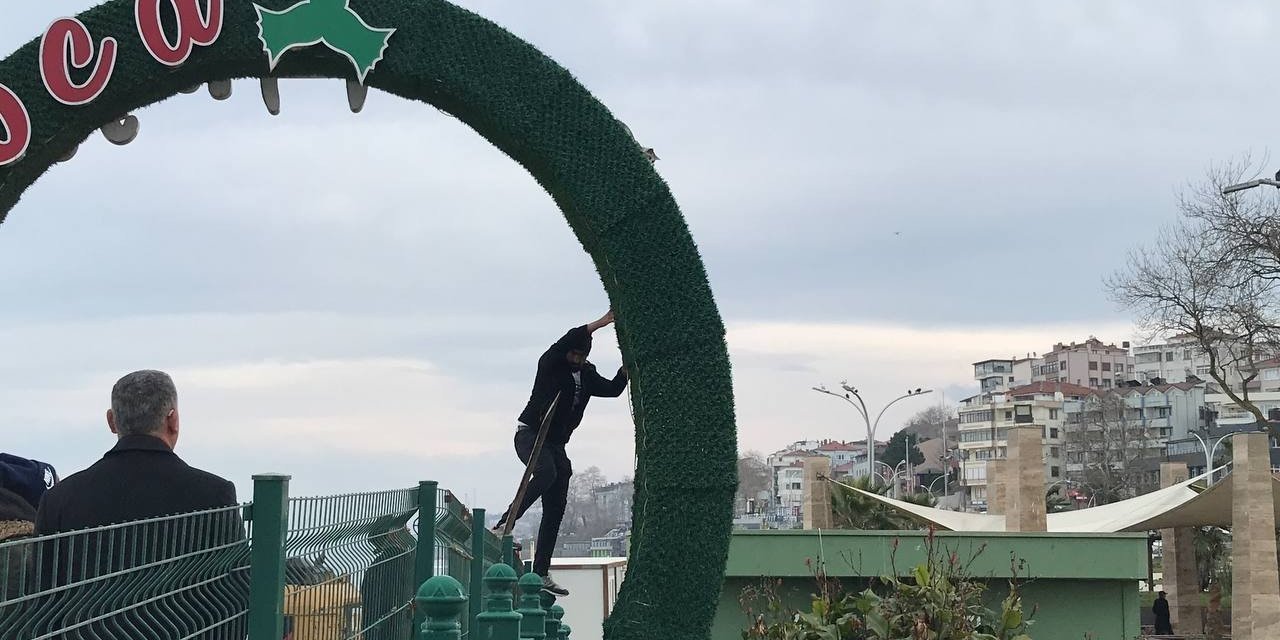 Reklam panosunda mahsur kalan kedi zor anlar yaşattı