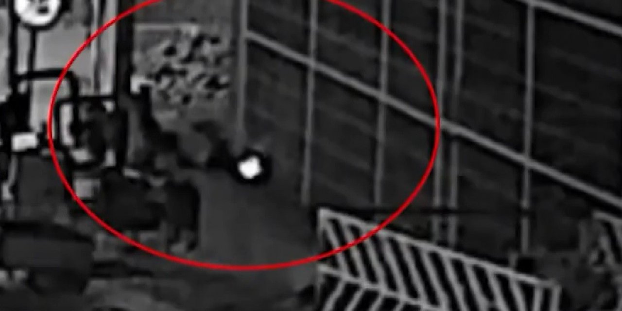 İş yerini kundaklayan 2 zanlı tutuklandı