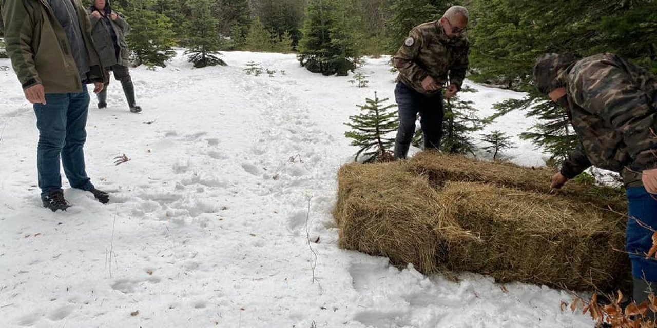 Yaban hayvanları için seferber oldular