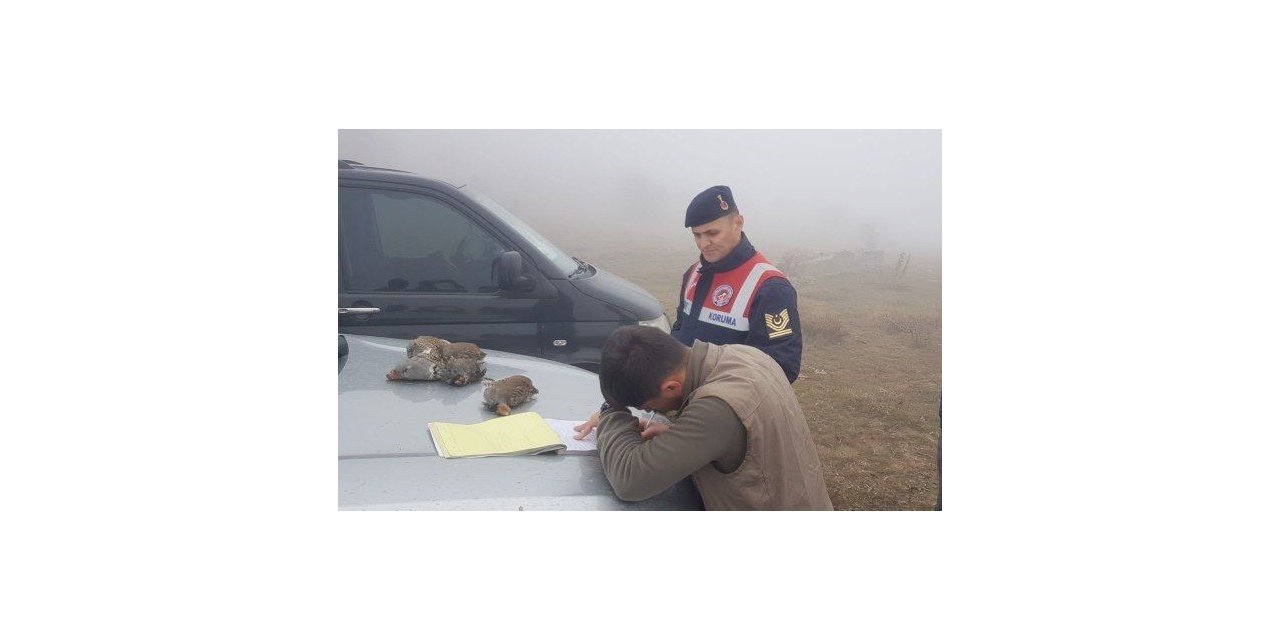 Koruma altındaki keklikleri vurdular, cezadan kaçamadılar