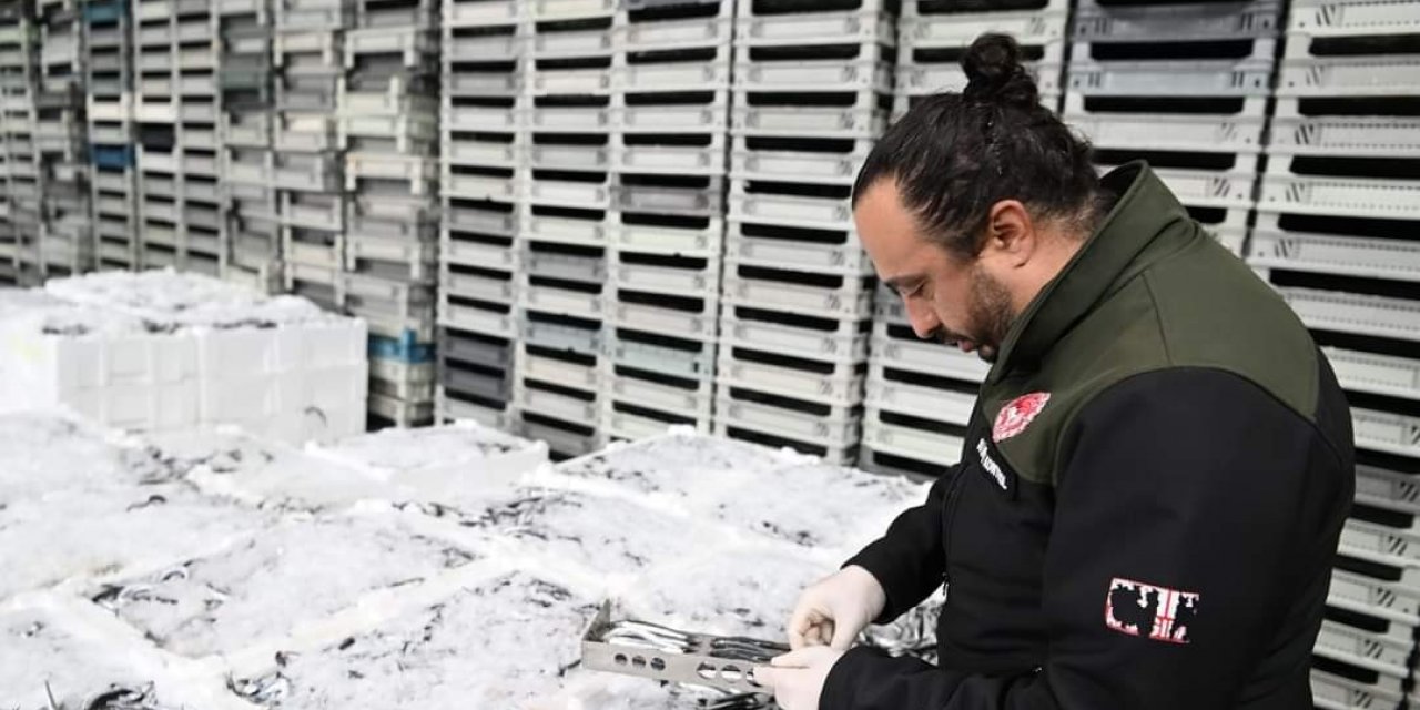 Kayseri’de eş zamanlı "balık" denetimi