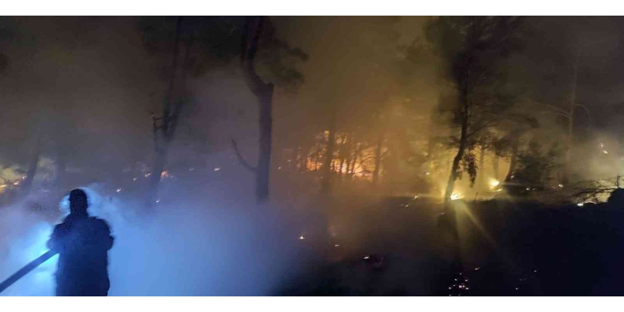 Orman yangını erken müdahale ile söndürüldü