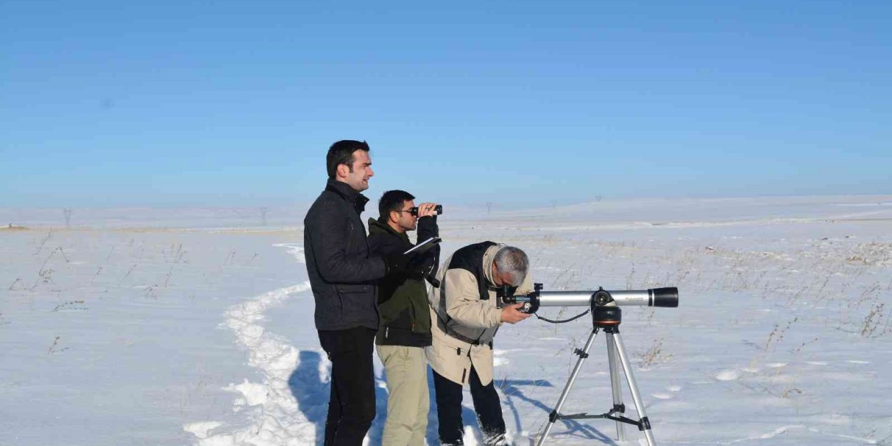 Tarım ve Orman Bakanlığı Kış Ortası Su Kuşu Sayımını 15 Ocak - 15 Şubat tarihlerinde yapacak