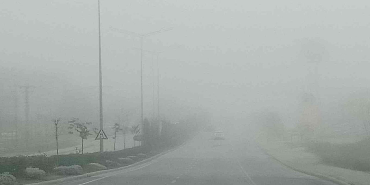 Aydın-Muğla karayolunda sis etkili oldu