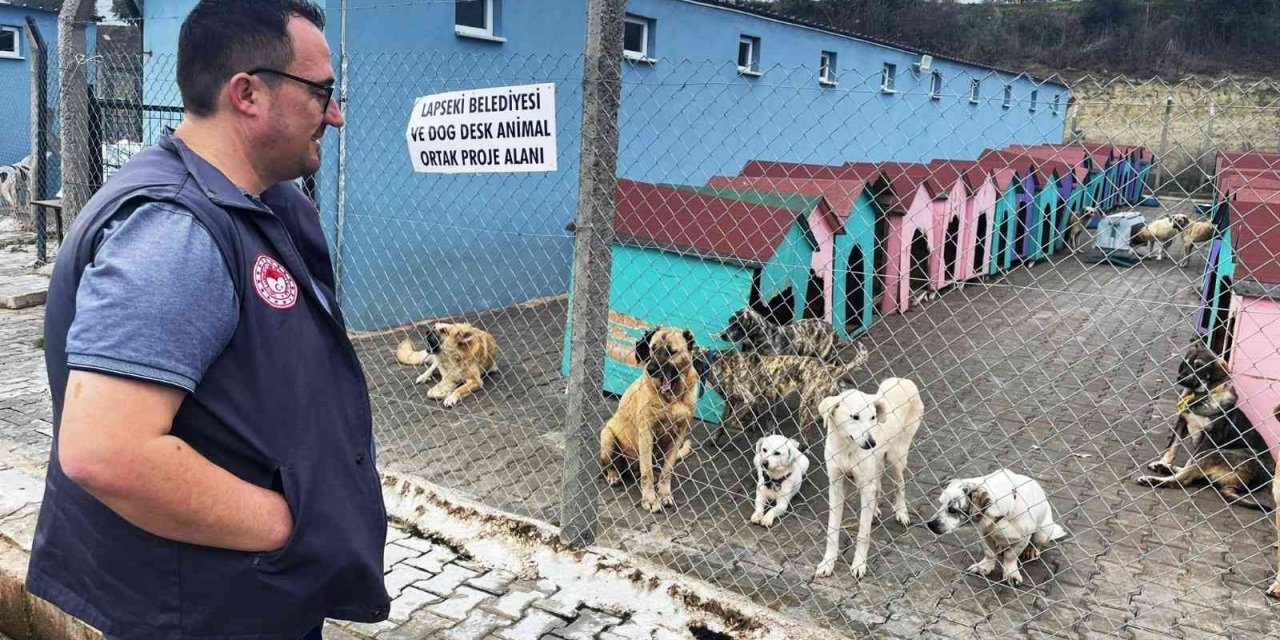 Lapseki’de hayvan barınağındaki sokak hayvanlarına kuduz aşısı yapıldı