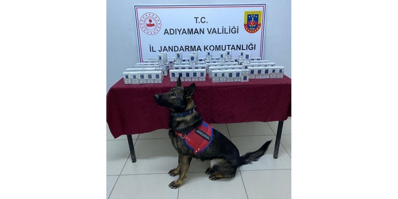 Jandarma kaçak sigara ele geçirdi