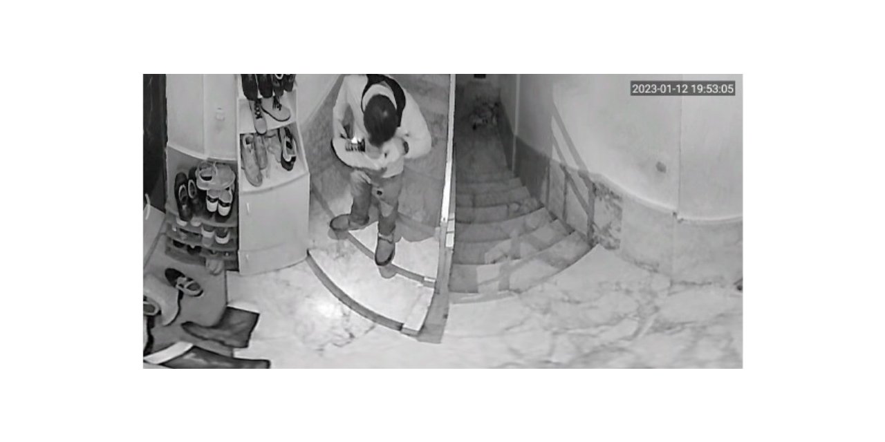 Ayakkabıları önce numarasına bakıp sonra koklayarak çaldı