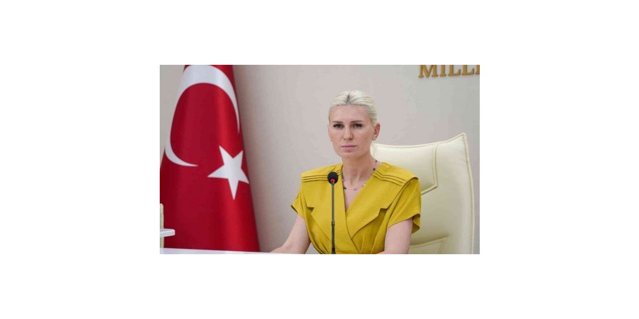 Başkan Vekili Subaşı dolmuş zamlarına ilişkin açıklama yaptı