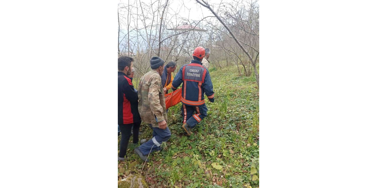 Kestikleri ağacın altında kaldılar