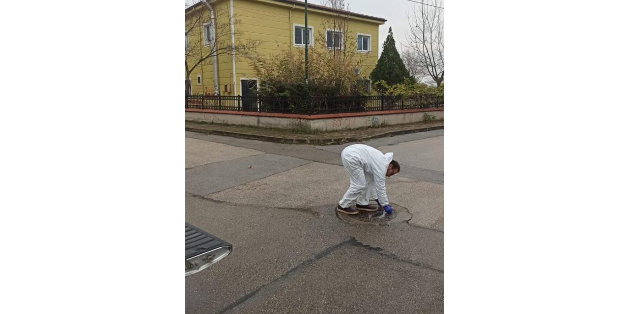 Haşerelere karşı ilaçlama yapıldı