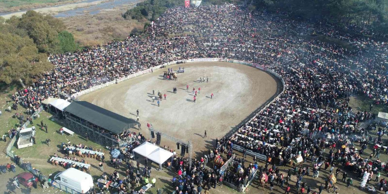 41. Uluslararası Efes Selçuk Deve Güreşleri Festivali sona erdi