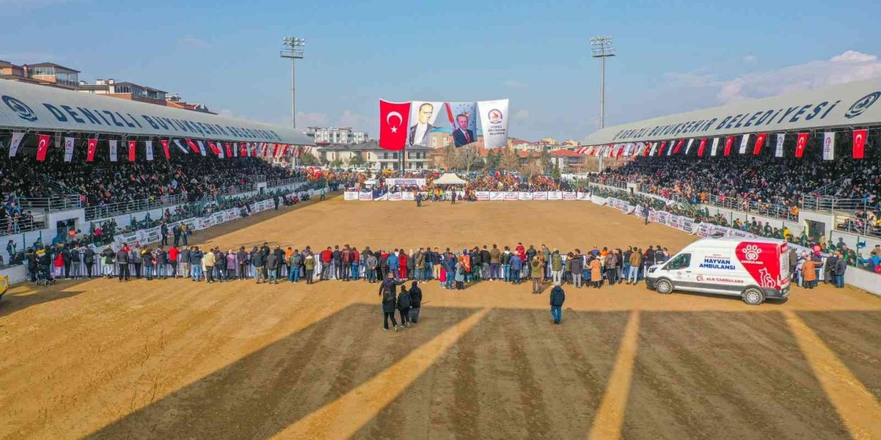On binler deve güreşi heyecanını hep birlikte yaşadı