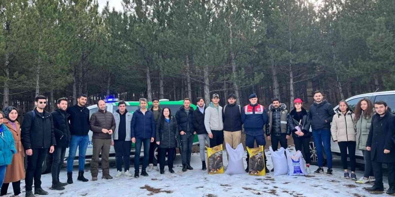 Sivas’ta yaban hayatı unutulmadı