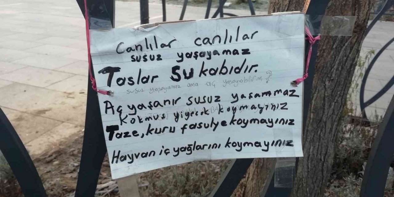 Atık yemekler hayvanlara yarar değil zarar veriyor