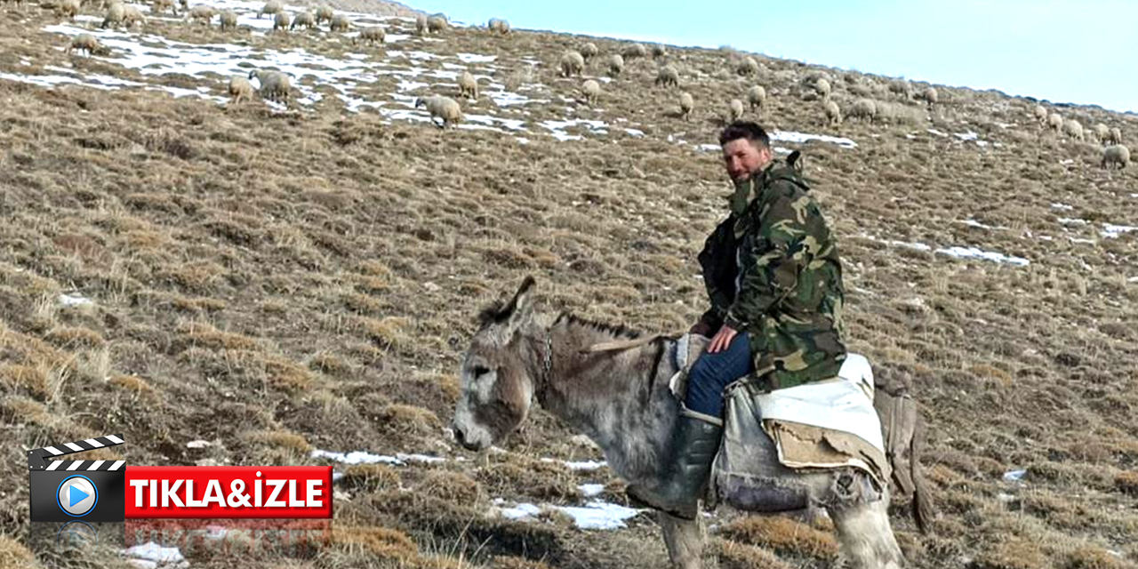 Sivaslı çoban Tarık Kara sosyal medyayı salladı