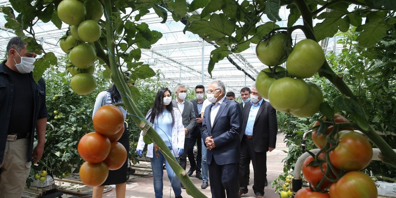 Büyükşehir, 1 yılda 13 milyon kilogram evsel atığı bertaraf etti