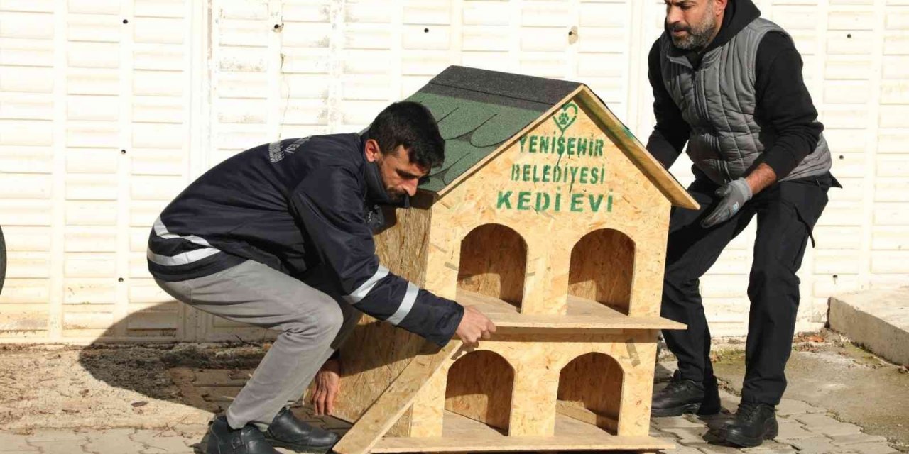Diyarbakır’da sokak hayvanları için 200 adet ev yerleştirildi