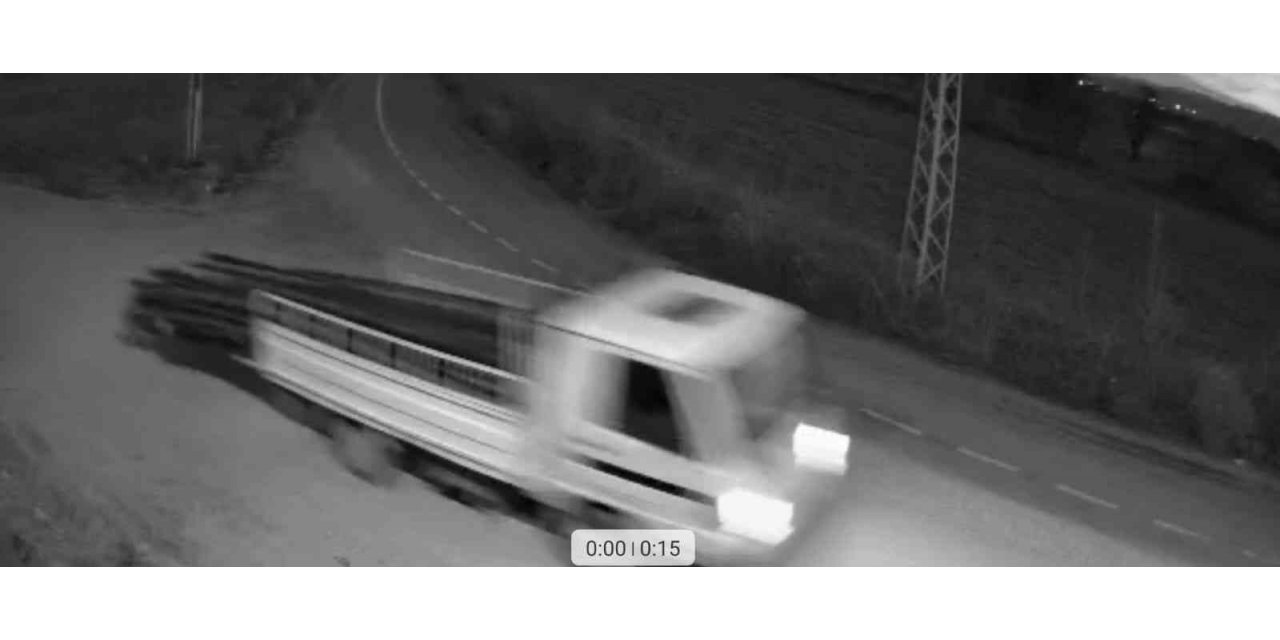 Suçlular önce foto kapana, sonra jandarmaya yakalandı