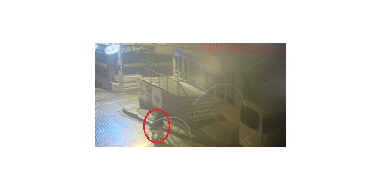 Bursa’da çaldıkları çelik kasayı bebek arabasıyla götürdüler