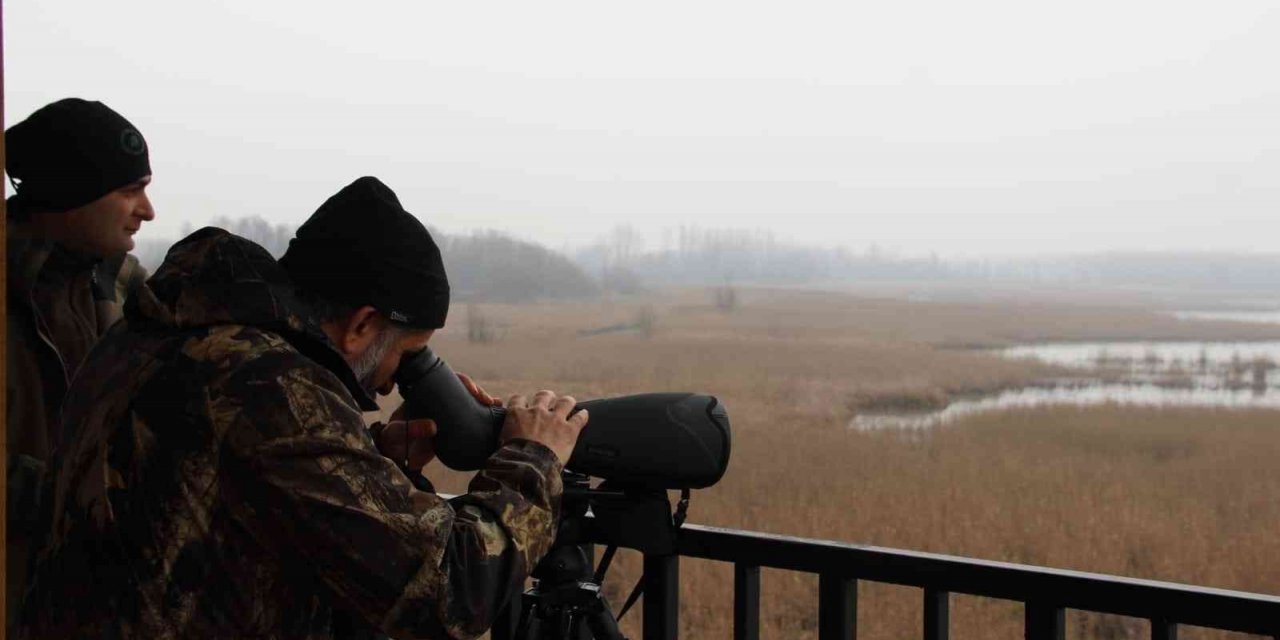 Efteni’de kuşlar sayıldı