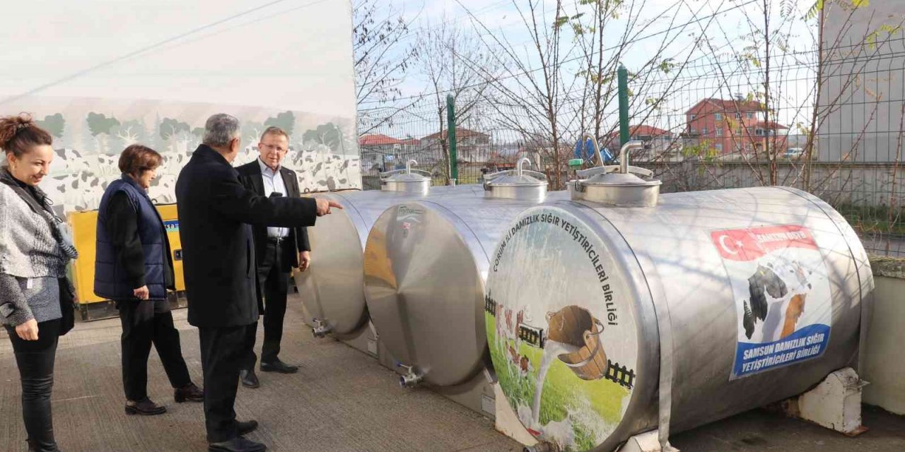 Samsun’da çiğ sütün kalitesi arttırılıyor
