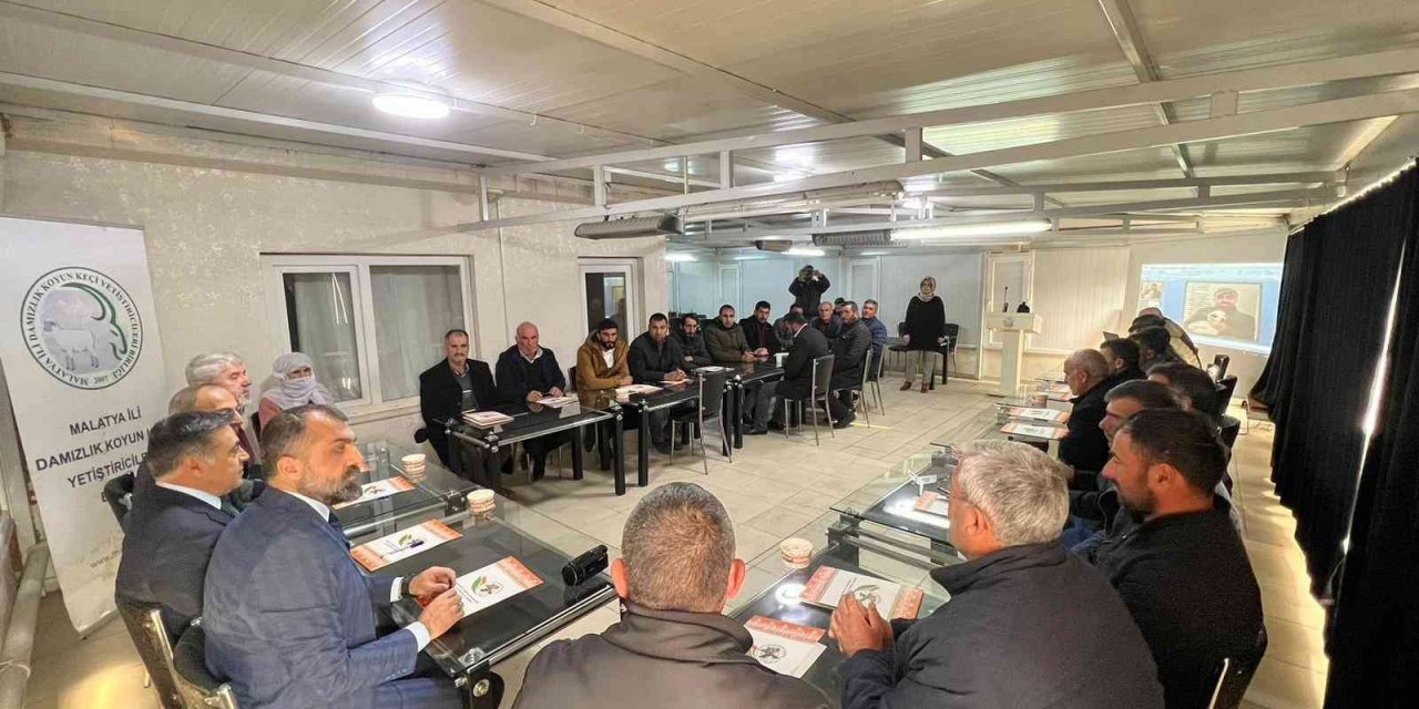 Küçükbaş hayvan yetiştiricilerine program