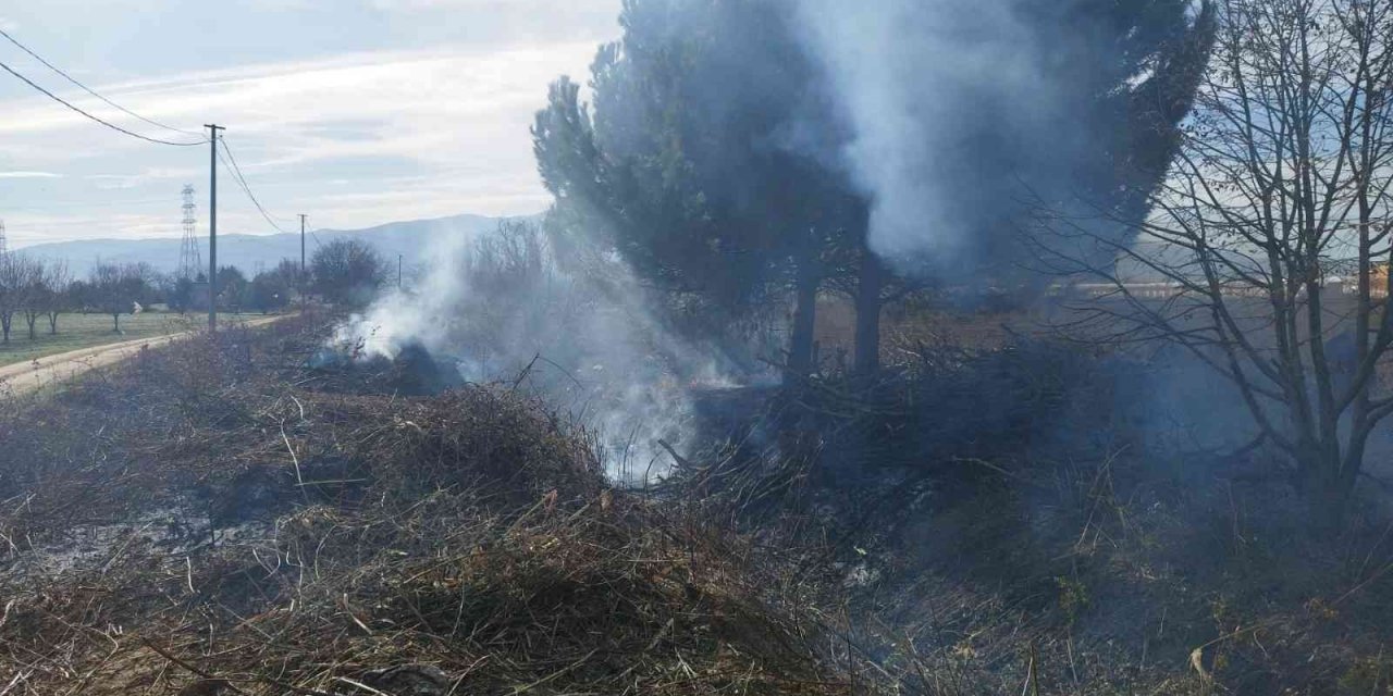 Bursa’da daha önce kesilmiş ağaçlar tutuştu