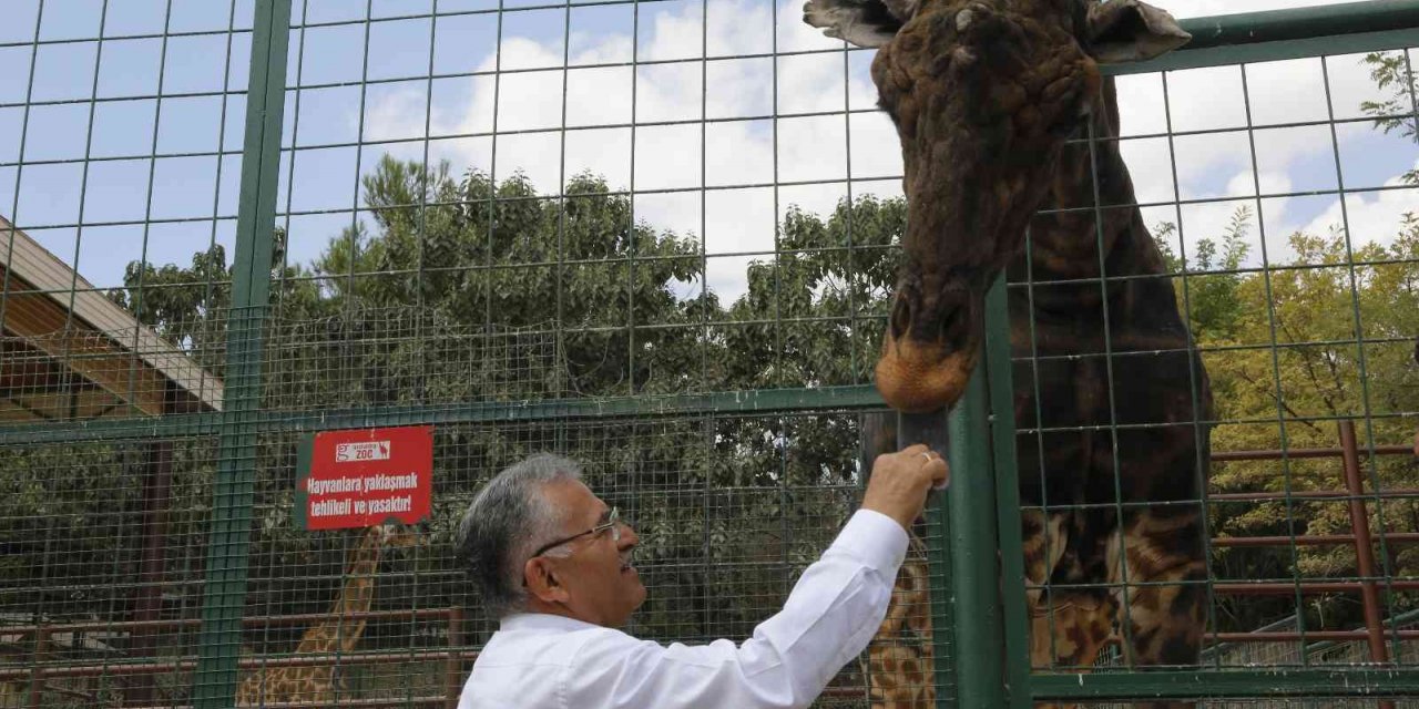 Büyükşehir Hayvanat Bahçesi’ne 1 yılda toplam 375 bin ziyaretçi