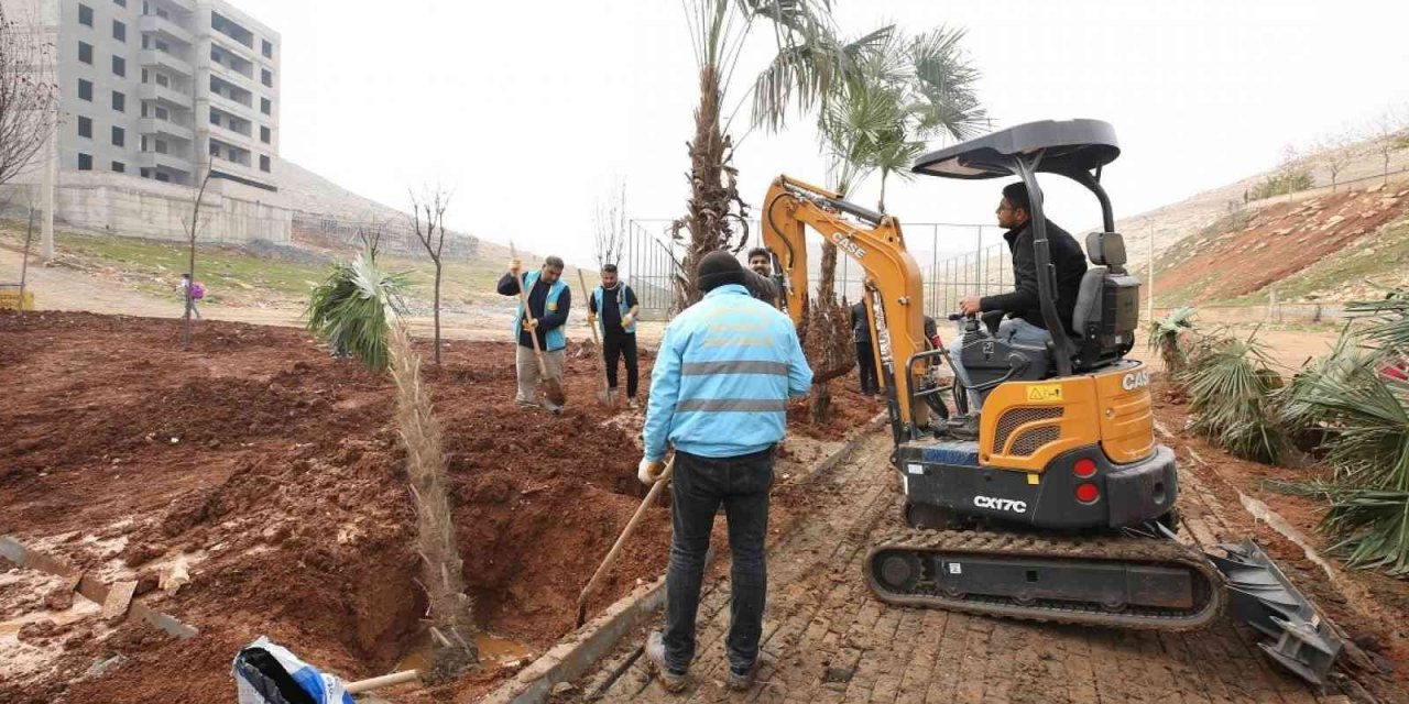 Kito deresinde ağaçlandırma devam ediyor