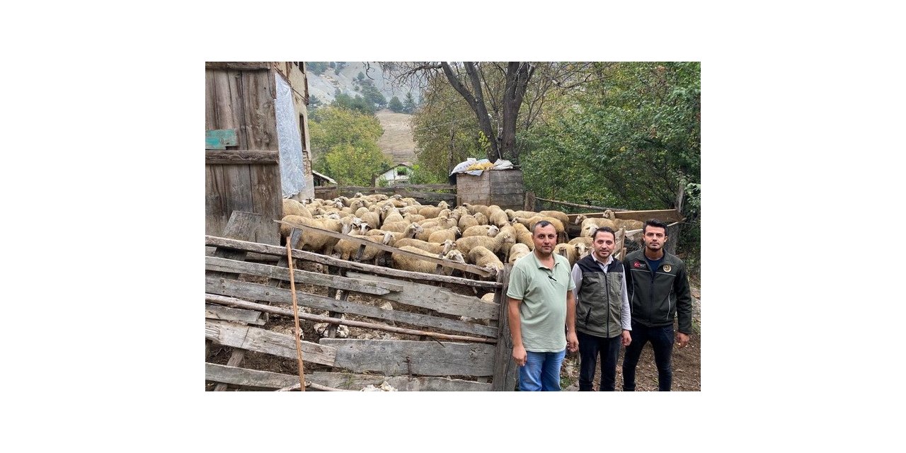 Bolu’da 70 aileye 4 milyon 600 bin TL destek kredisi verildi