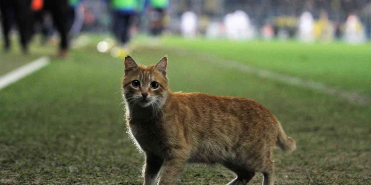 Ankaragücü, Beşiktaş maçında beklenmedik misafir