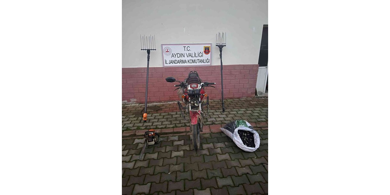 Germencik’te 6 hırsızlık olayına karışan şahıslar yakalandı