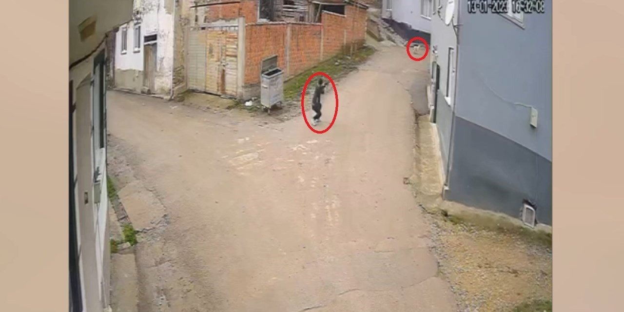 Bir köpeği daha vurmuş